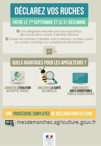 affiche déclaration ruches